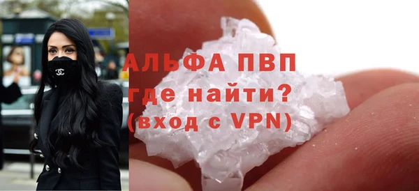 ECSTASY Алзамай