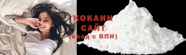 ECSTASY Алзамай