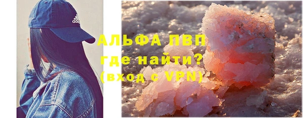 ECSTASY Алзамай